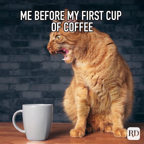 60 Funny Coffee Memes All Java Lovers Will。